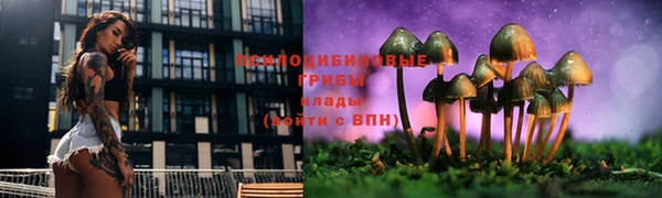 соль курить ск Богородск