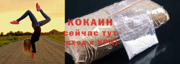 кокс Богородицк