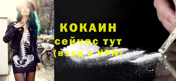 кокс Богородицк